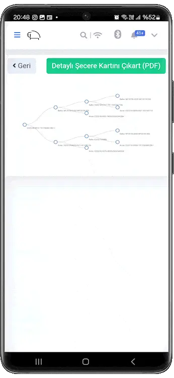 Şecere (Soy Ağacı) Takibi
