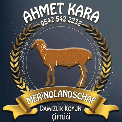 Merinolandschaf Çiftliği - Ahmet Kara