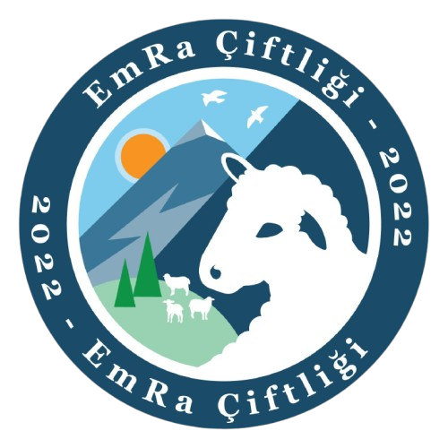 Herkul Emra Lacaune Çiftliği