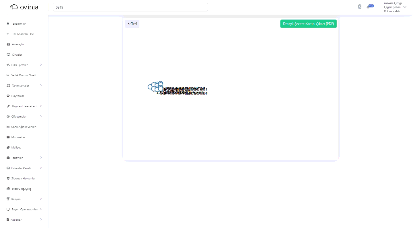 Şecere (Soy Ağacı) Takibi