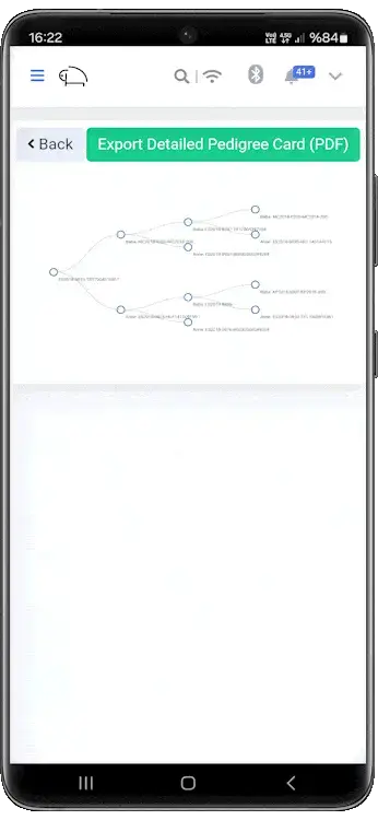 Pedigree (Family Tree) Tracking