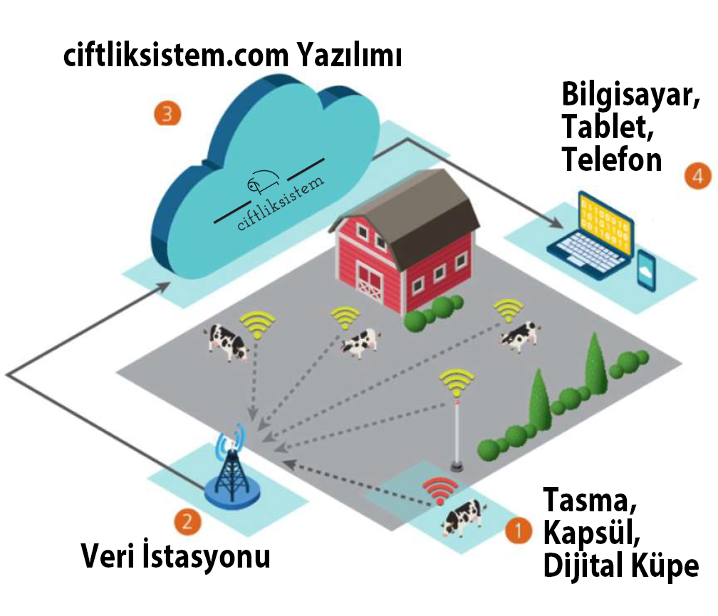 Süt hayvancılığı, Besicilik, Araştırma, Islah, Damızlık? Sürünüzü Yönetmek için TEKNOLOJİ