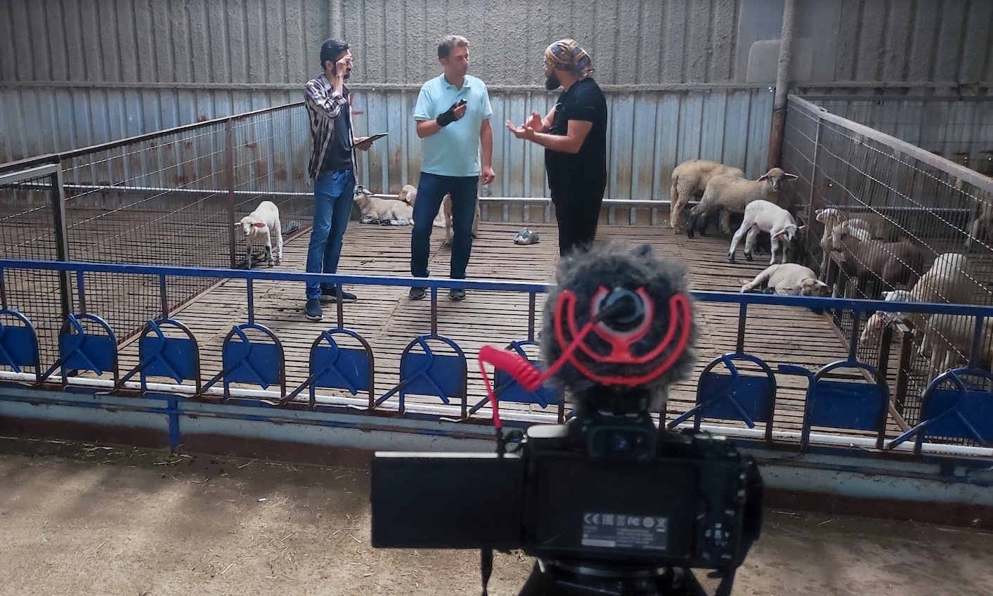 yasin eymen çelik ile küçükbaş sürü takibi ve hayvan takibi