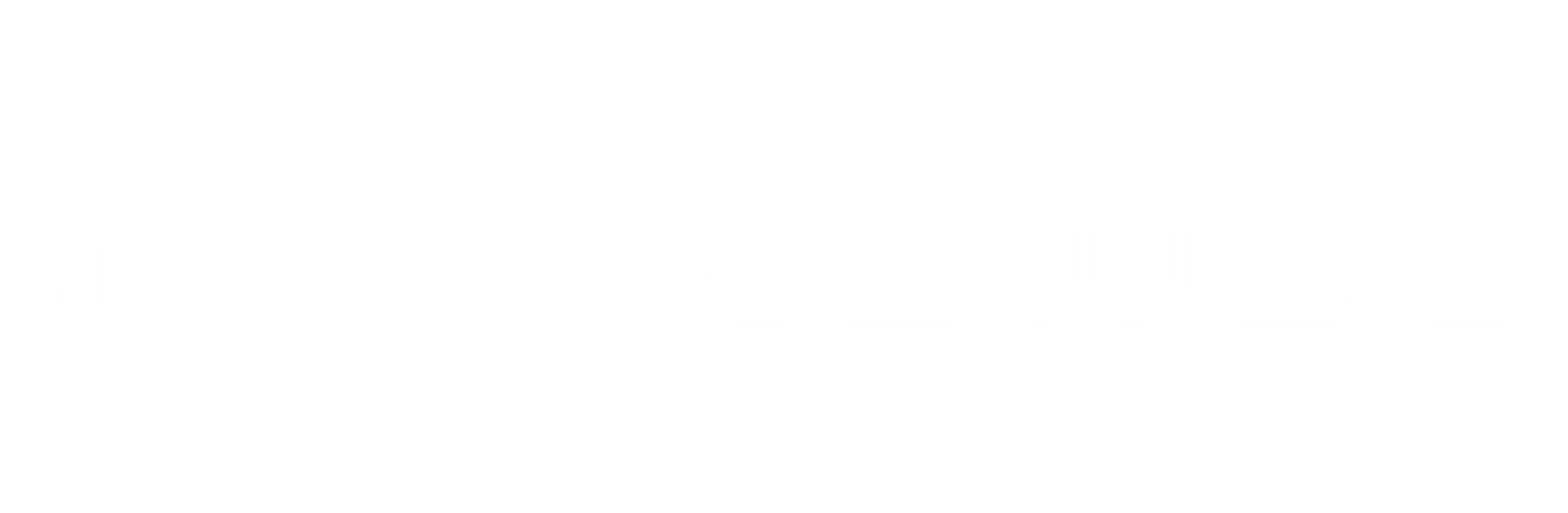 roswise® logo